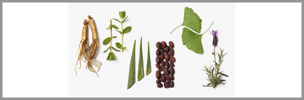 La-Biosthetique-Botanique