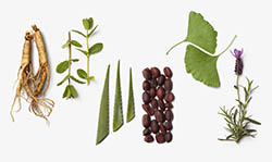 La-Biosthetique-Botanique-2